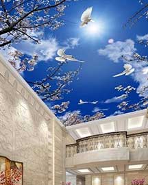 Ceiling Roof Wallpaper Dealer Mumbai ceiling roof wallpaper dealer mumbai3